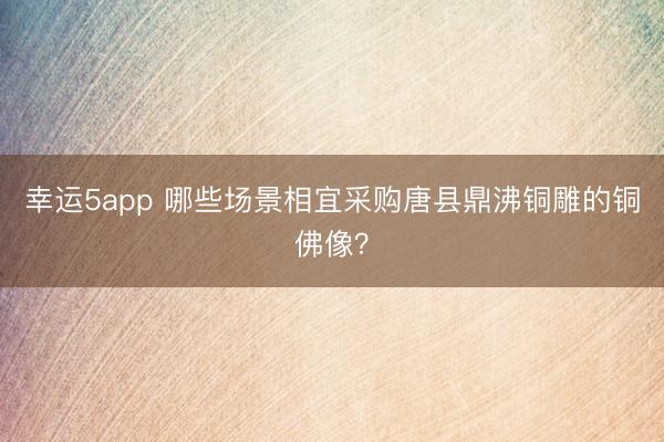 幸運(yùn)5app 哪些場(chǎng)景相宜采購唐縣鼎沸銅雕的銅佛像？