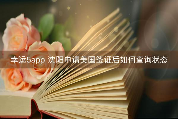 幸運5app 沈陽申請美國簽證后如何查詢狀態(tài)