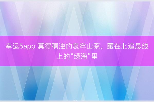 幸運5app 莫得稠濁的哀牢山茶,藏在北追思線上的“綠海”里
